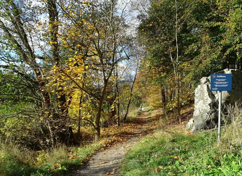 Landsvägen mot Sticklinge gård